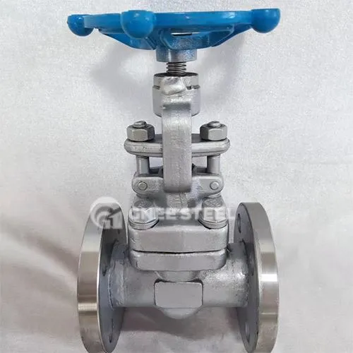API 600 Globe Valve