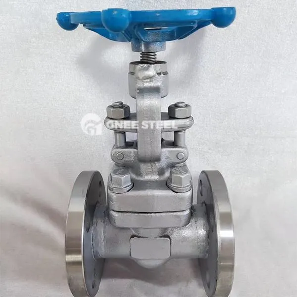 API 602 GLOBE -VALVEN