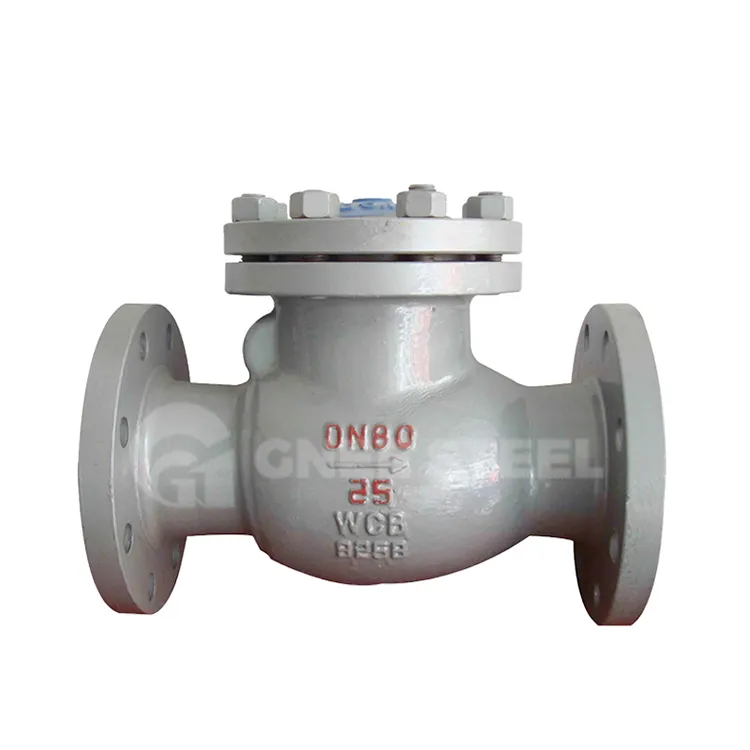 Terugslagklep van gegoten staal