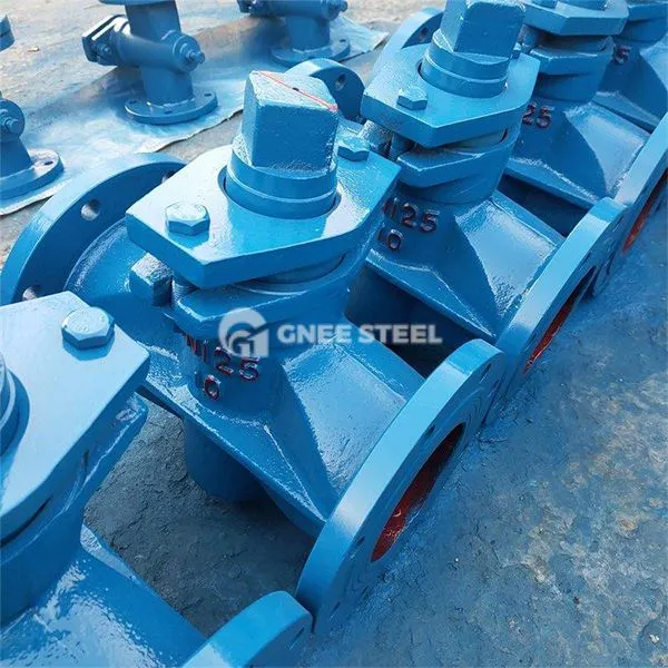 Dubbele isolatieplugklep