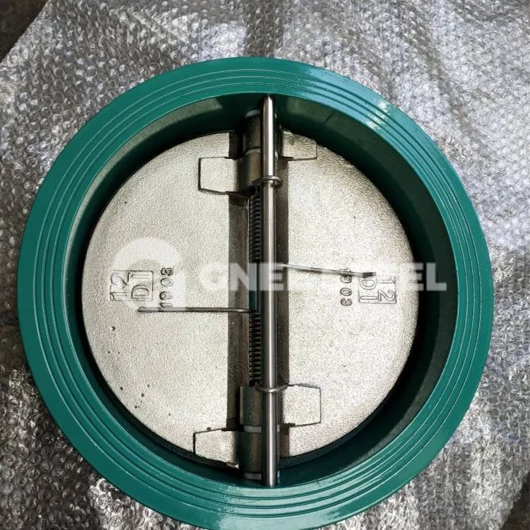 Dubbele plaat terugslagkleppen