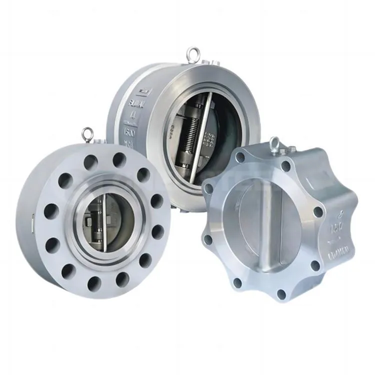 Dubbele plaat lip type terugslagklep