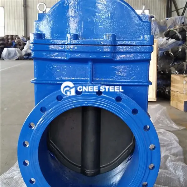 Ductiele ijzeren veerkrachtige zittende poortklep