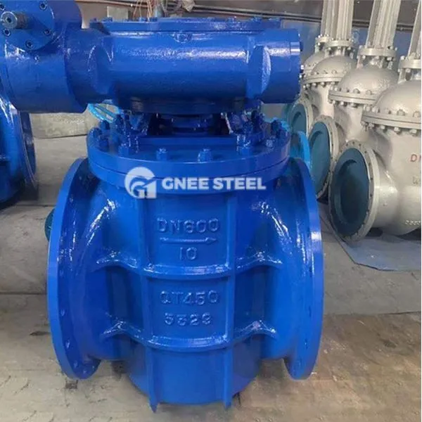 Excentrieke type plug klep