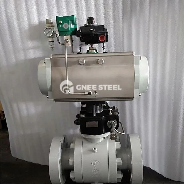 Hoge druk 2- manieren kogelkleppen