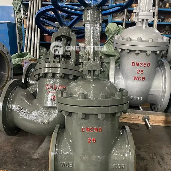 Hogedrukpoortkleppen