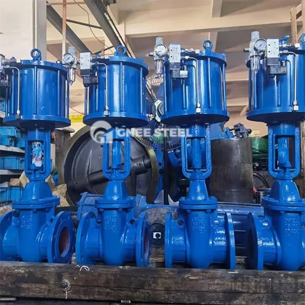 Pneumatische wigpoortkleppen