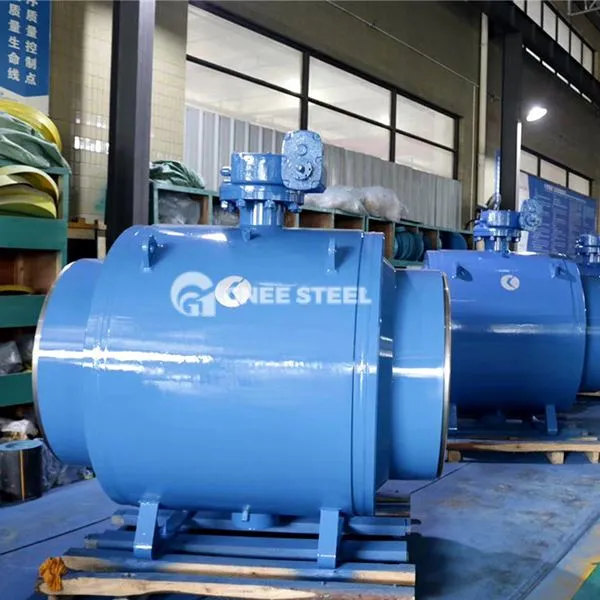 Verminderde poortbalklep