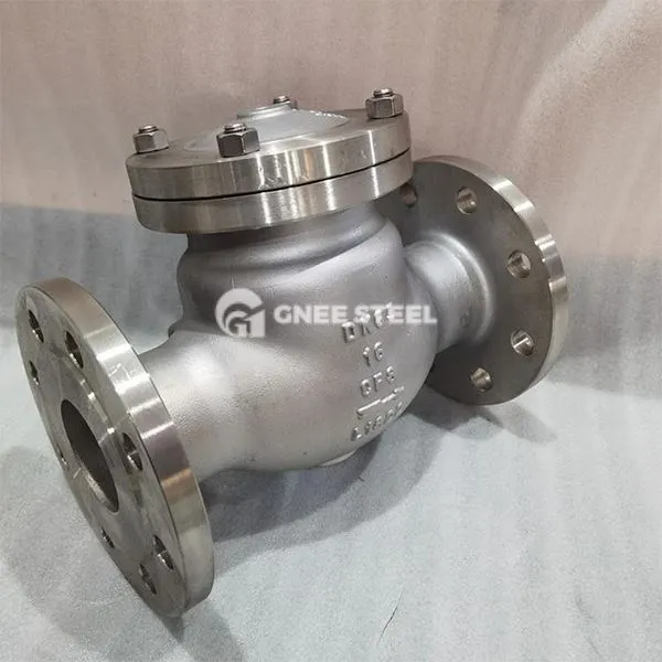 Roestvrij staal cryogene terugslagkleppen