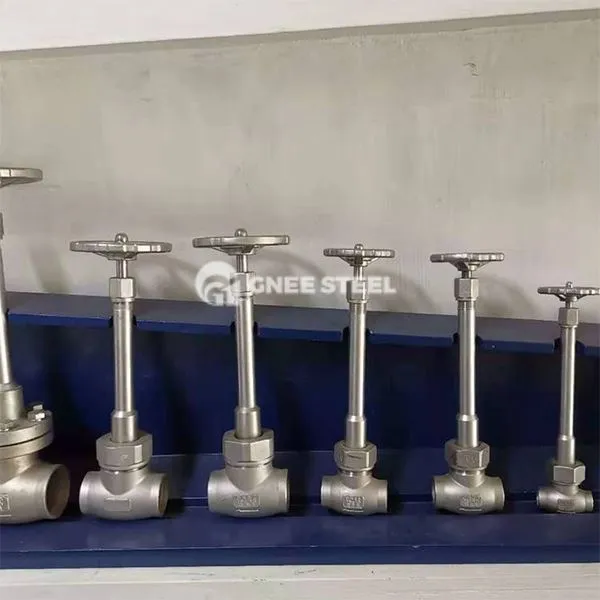 Roestvrij staal cryogene wereldkleppen