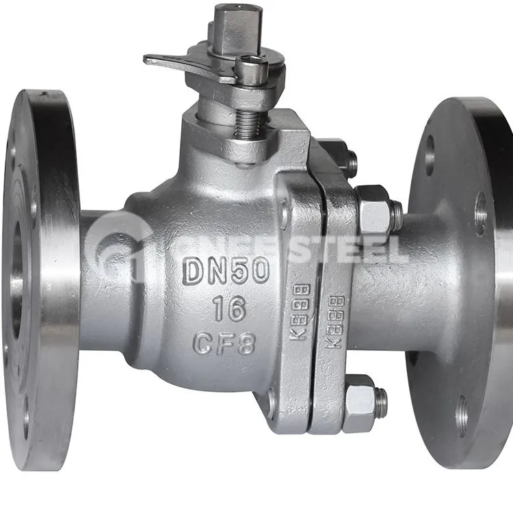 Terugslagklep van roestvrij staal